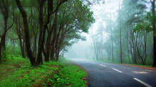condition-of-road-side
