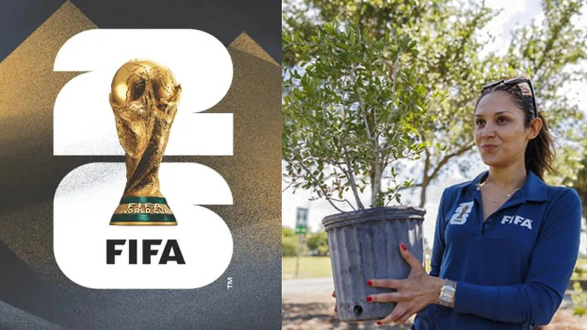 fifa