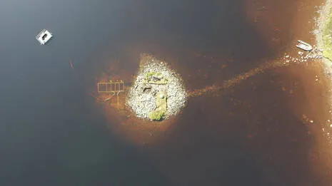 i.1.3877037