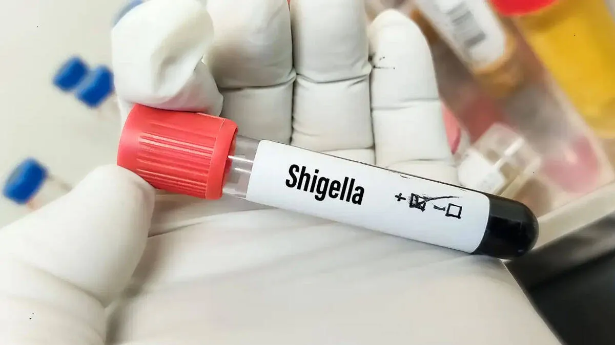 shigella