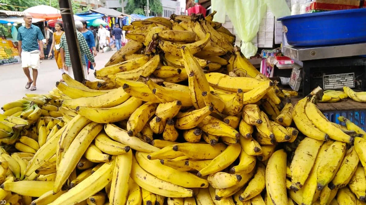 banana-