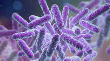 shigella-reported-in-kozhikode