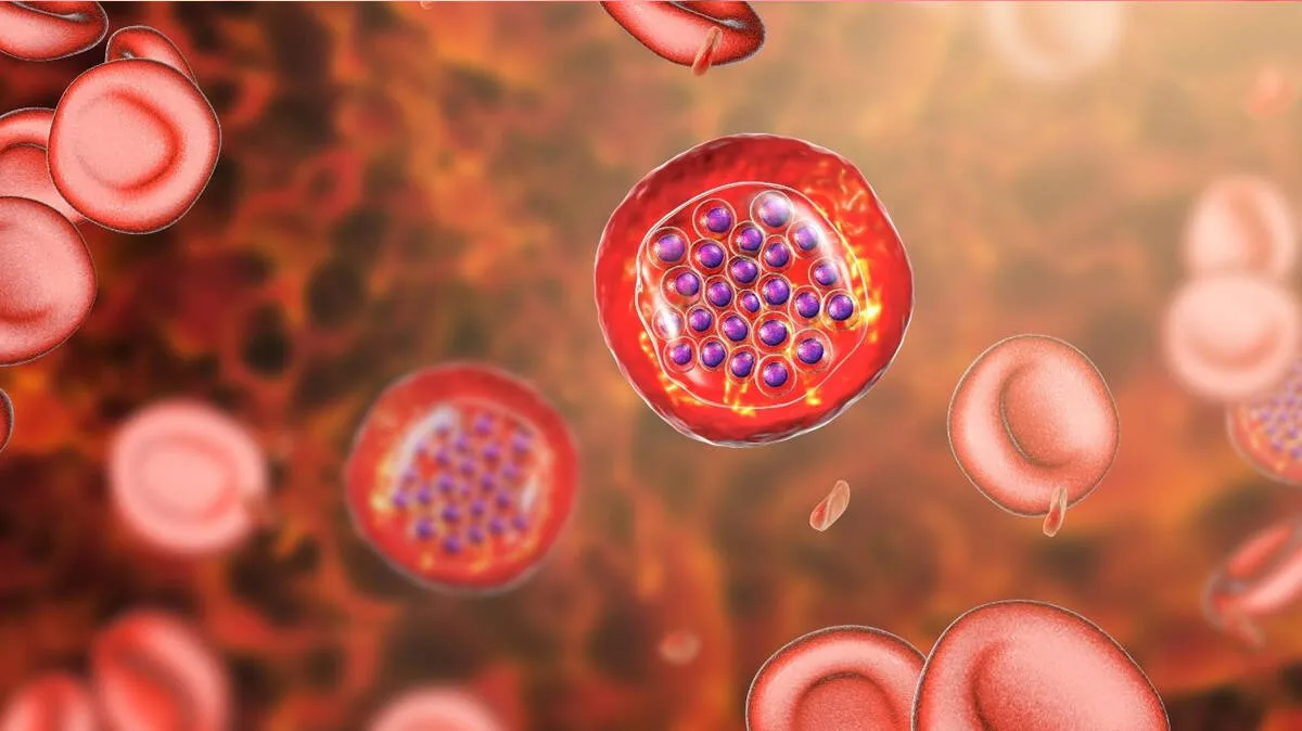 malaria