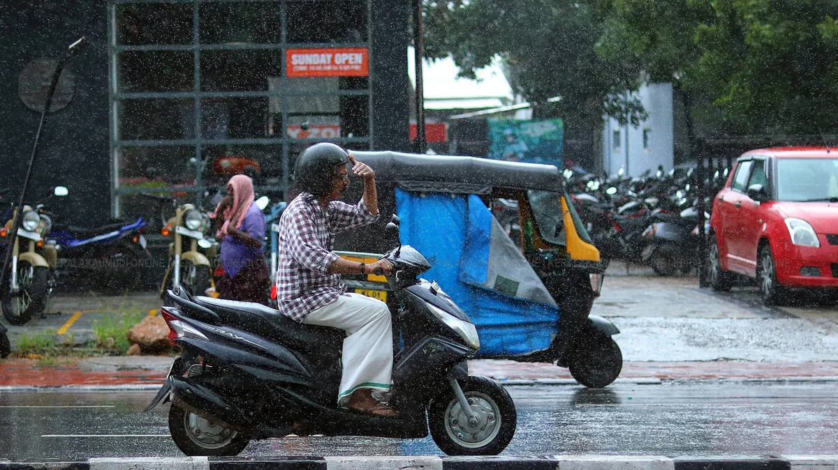 rain