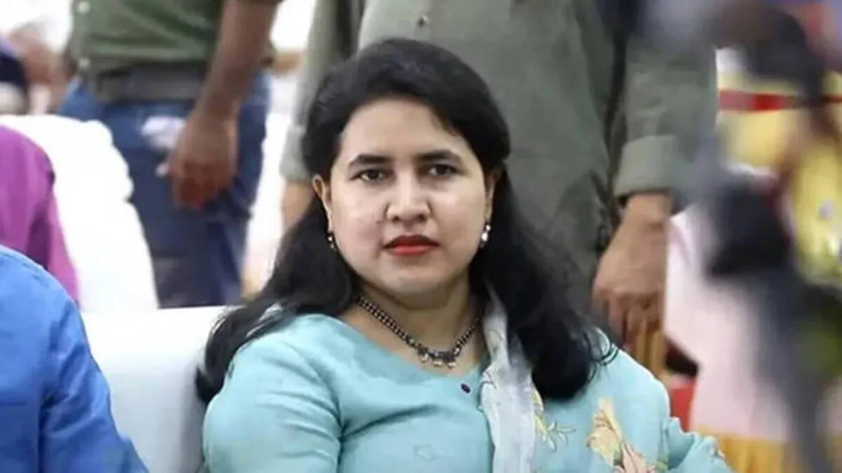 veena