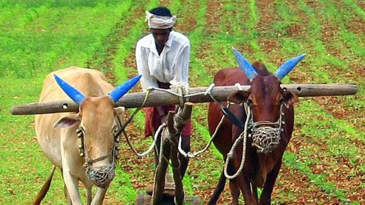 farming farming