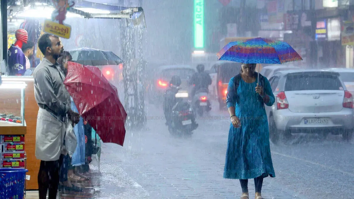 rain