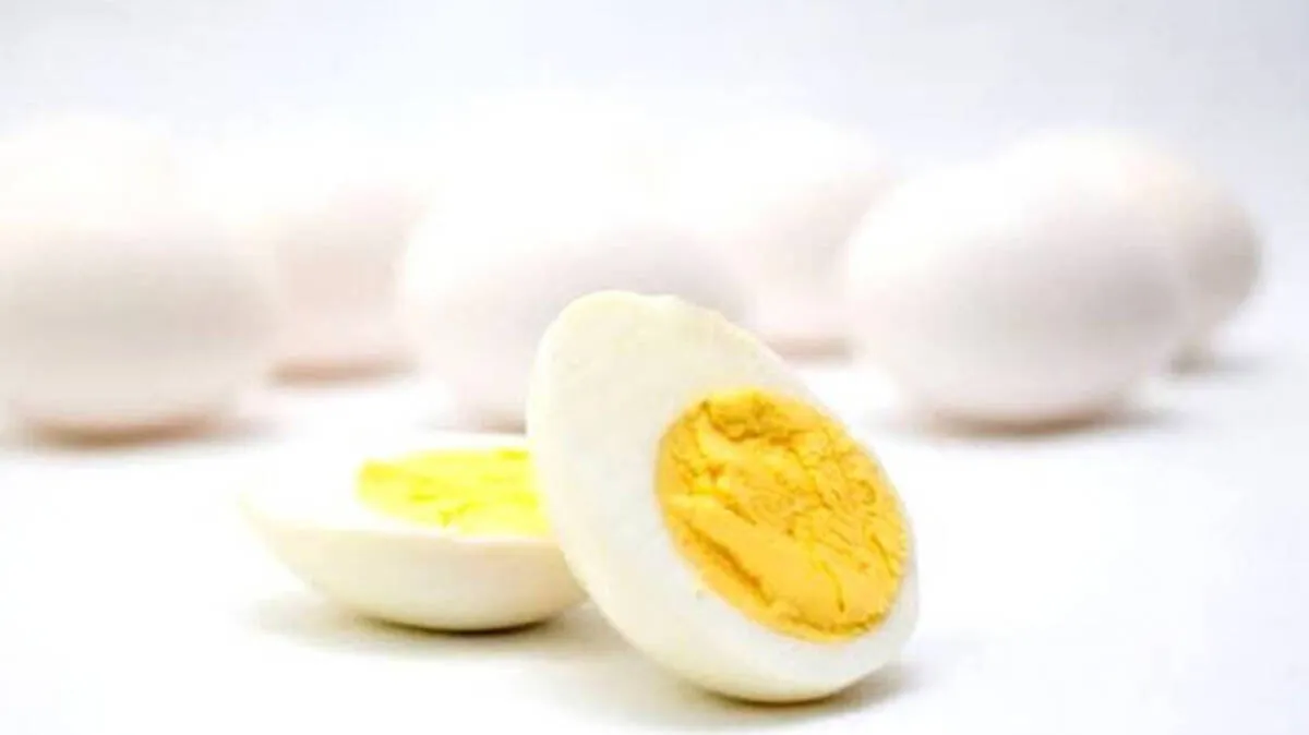 egg