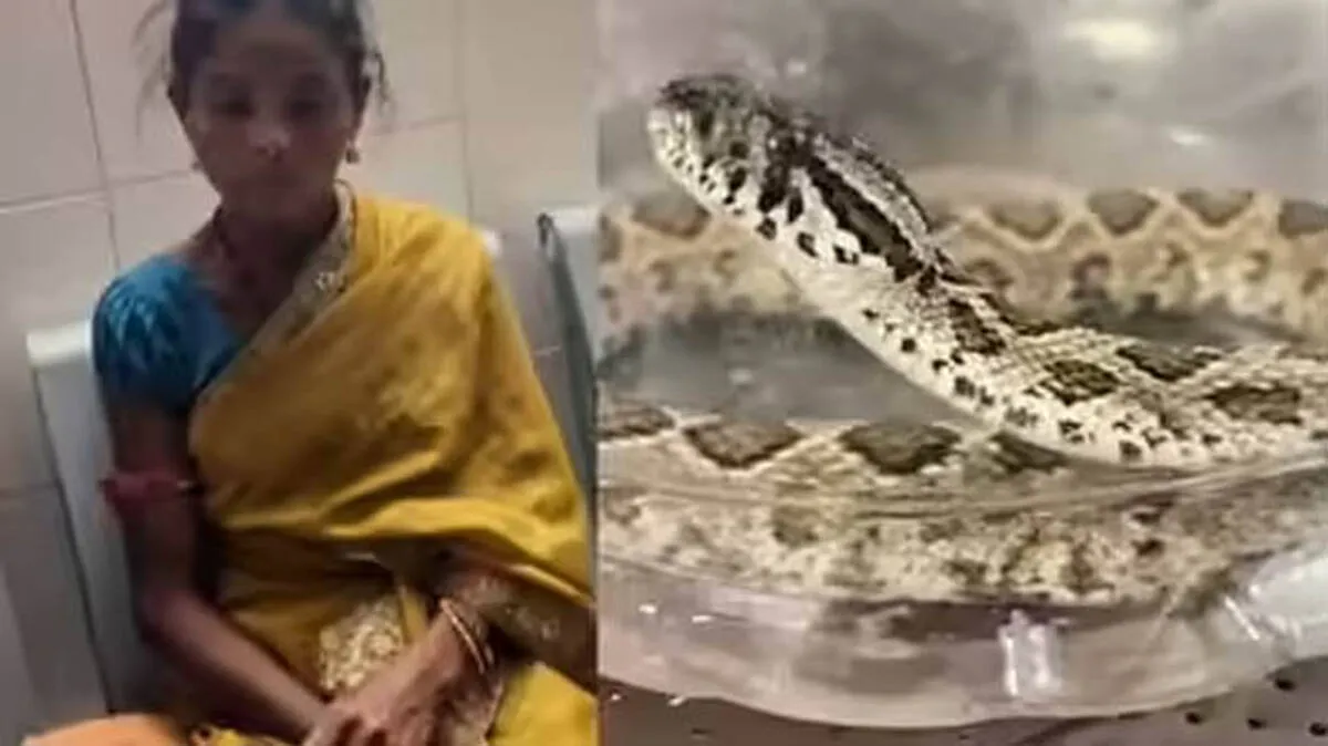 snake-bite