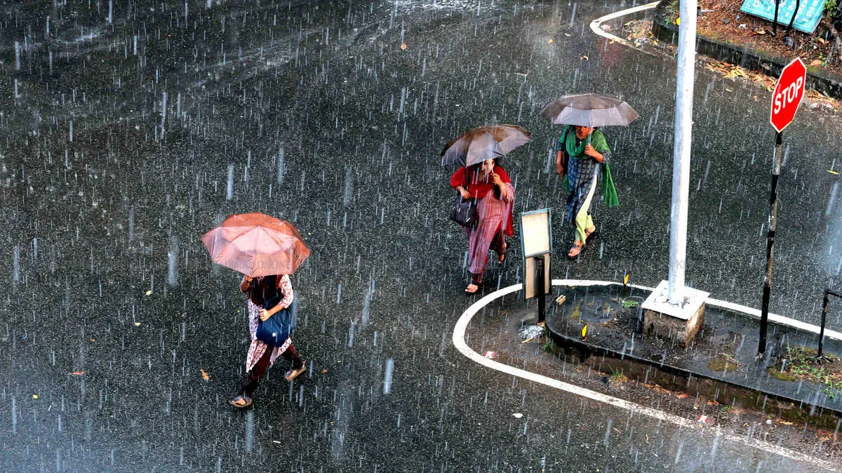 rain