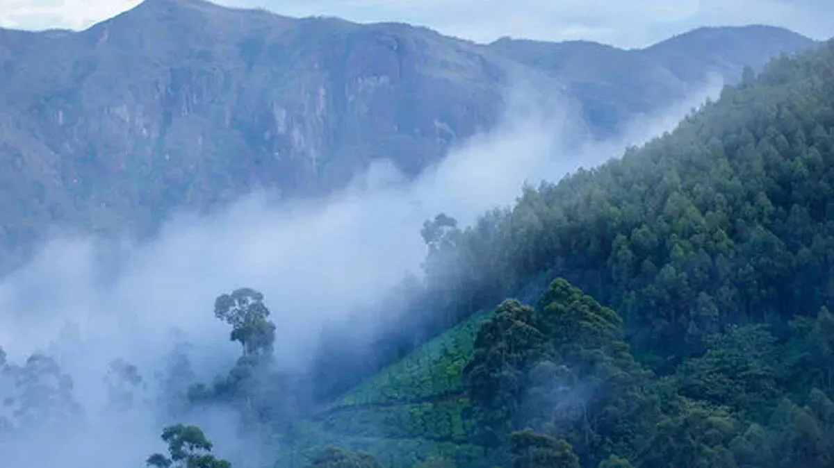 munnar