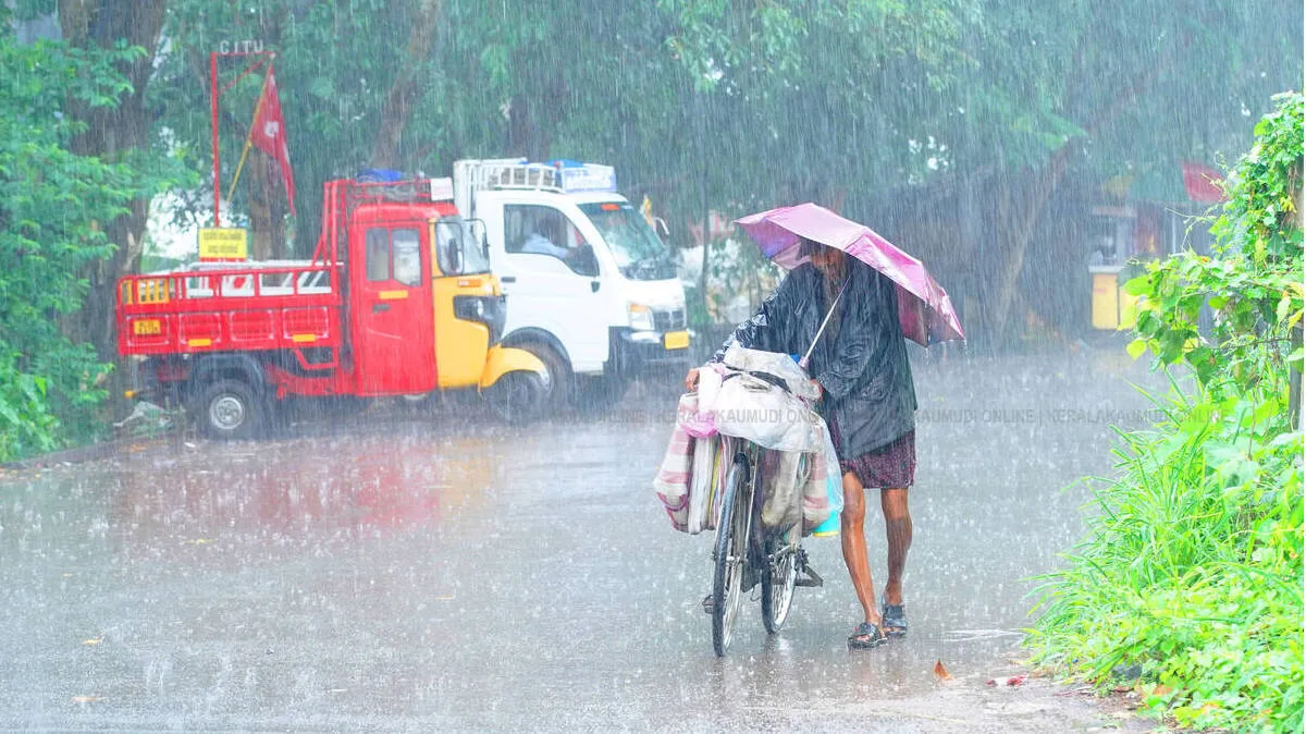 rain
