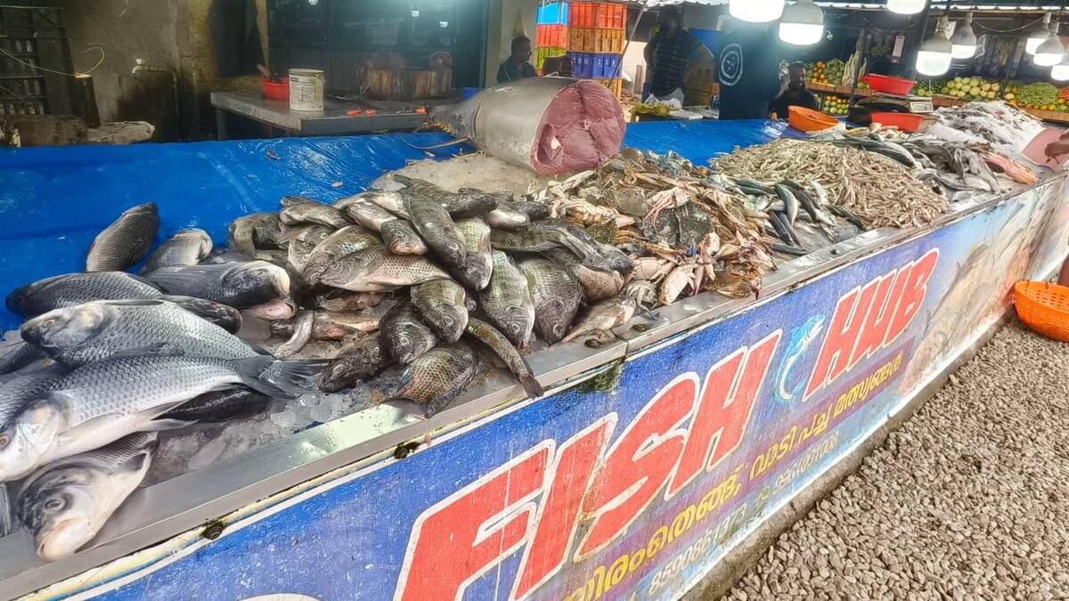 fish