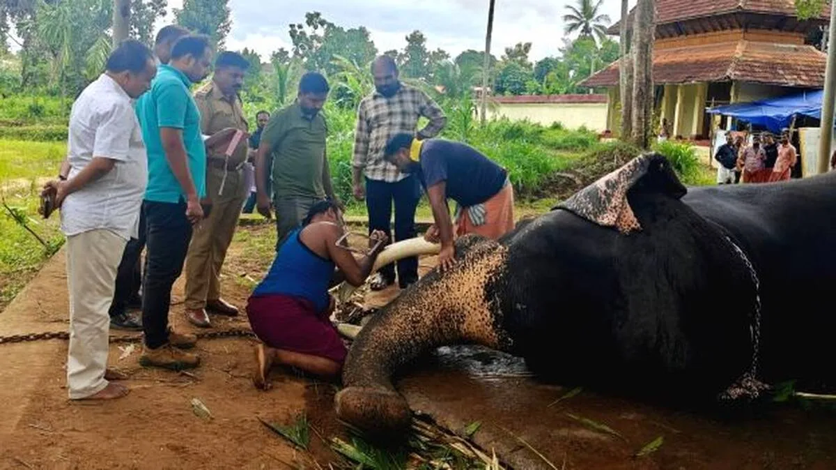 jayarajan jayarajan