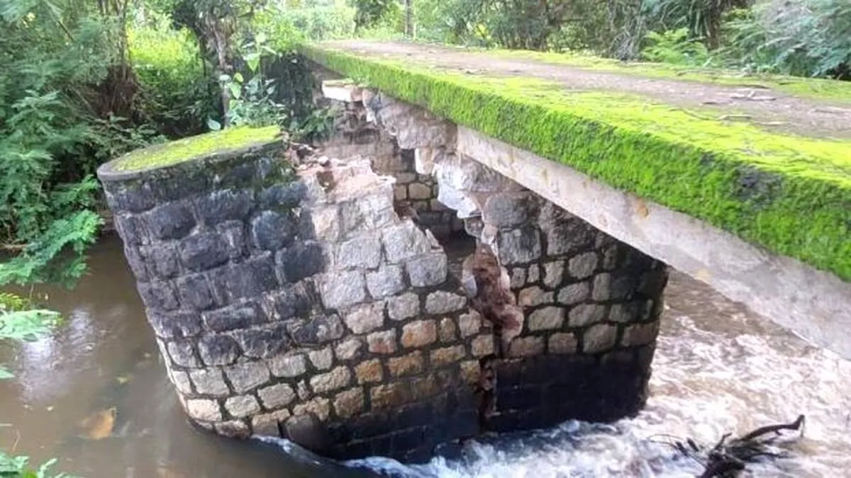 bridge