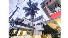 coconut-tree