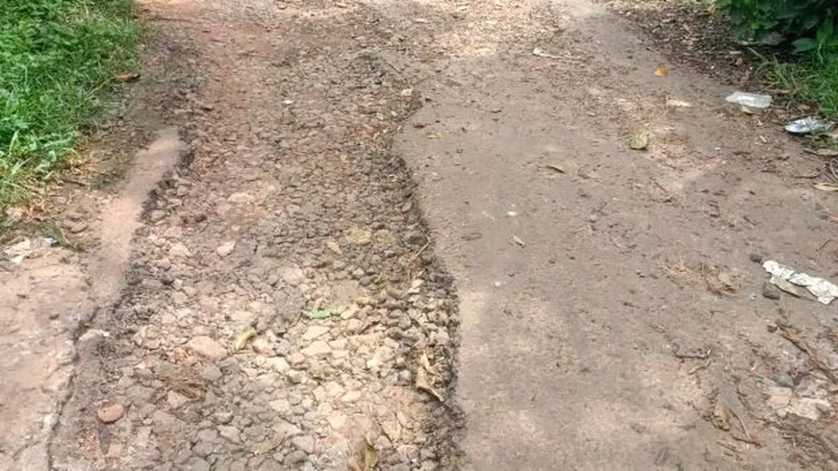 ടാറും മെറ്റലും ഇളകി
തിട്ടയിൽമുക്ക് -നാലുതട്ട് വിള റോഡ്