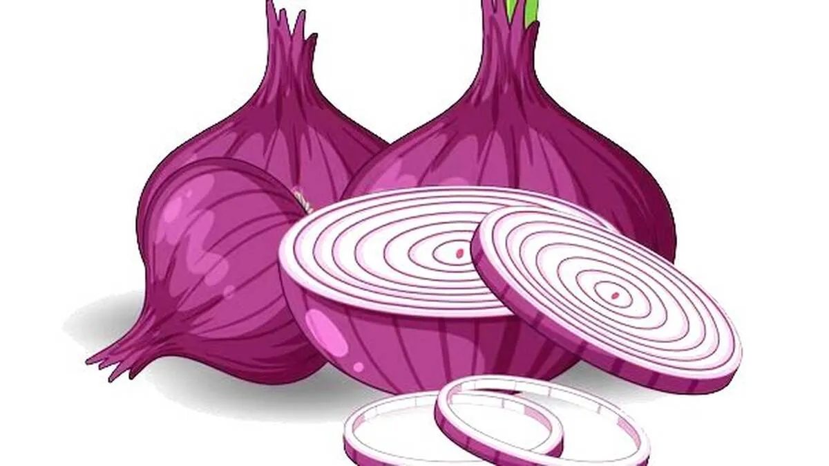 ഉള്ളി സംഭരണ വില 
13% വർദ്ധിപ്പിച്ചു