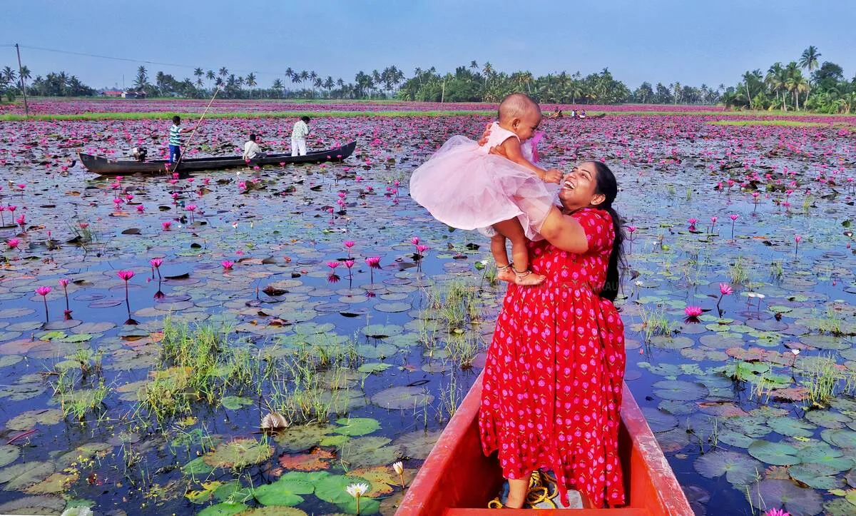 ambal- ambal-