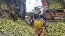 crowd-loot-mangoes--truck-overturns-social-media-criticism