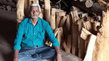 sandalwood-tree-fall--elderly-man-bengaluru