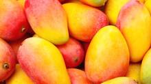 cheap-mango-warning