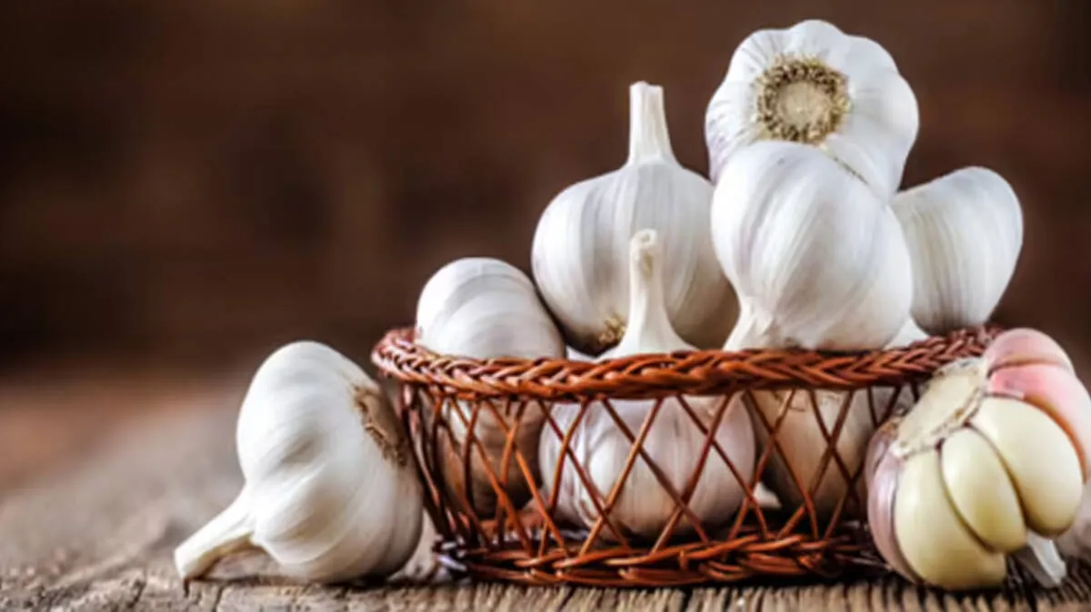 garlic