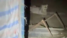 gujarat-girnar-hill-lion-attack-boy-killed