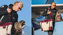 story-behind-erling-haaland-carrying--raccoon-clutching--whisky-bottle