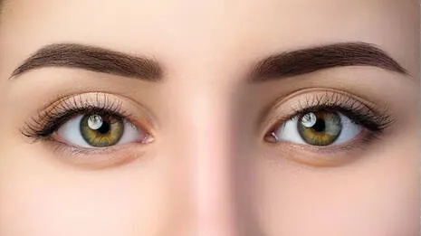eyes.1.3933085