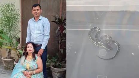 atul-pawar-and-damini.1.3937724