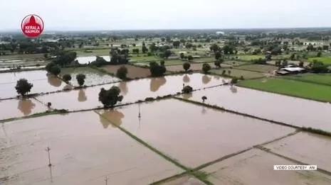 rain-.1784468572