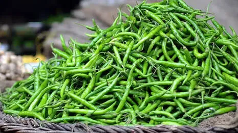 green-chillies.1.3939135