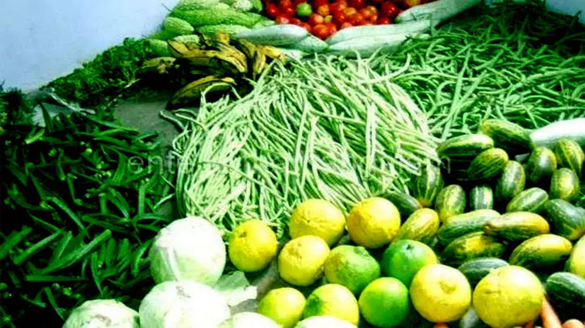 vegetable- vegetable-
