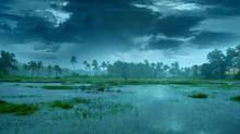 rain--in-kerala-yellow-alert-kerala-weather
