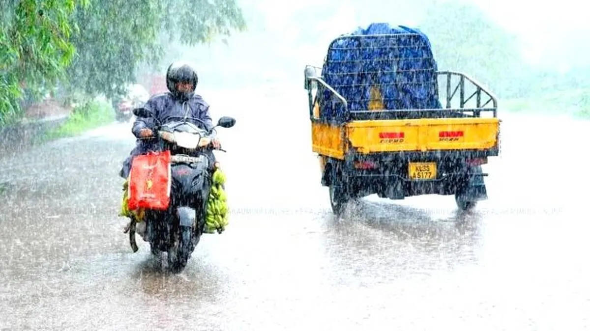 rain