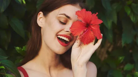 hibiscus-beauty.1.3945483
