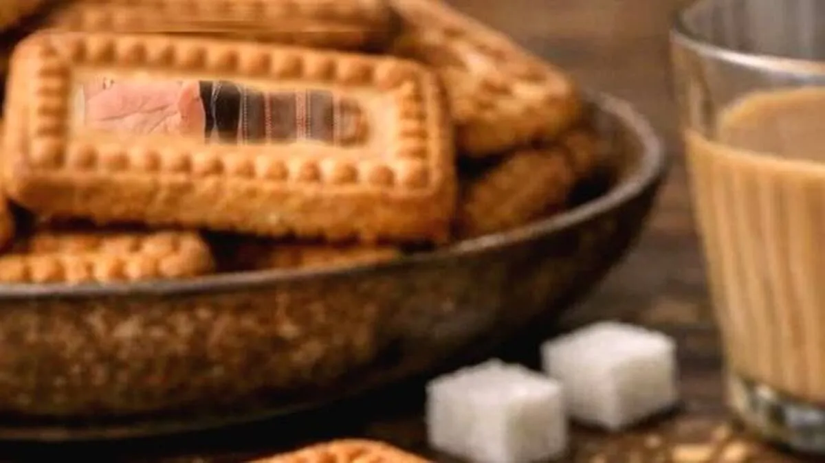 biscuit