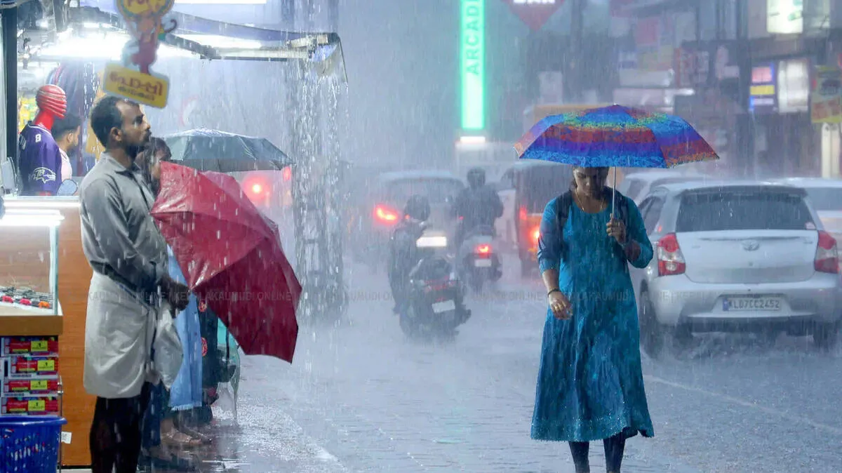 rain-