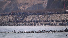 thousands-swim-to-spain-from-morocco-nine-death