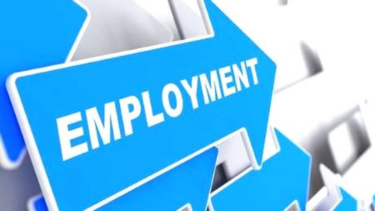 employment