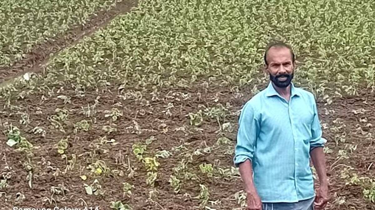 krishi