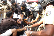 sfi-march