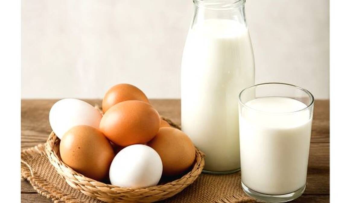 milk