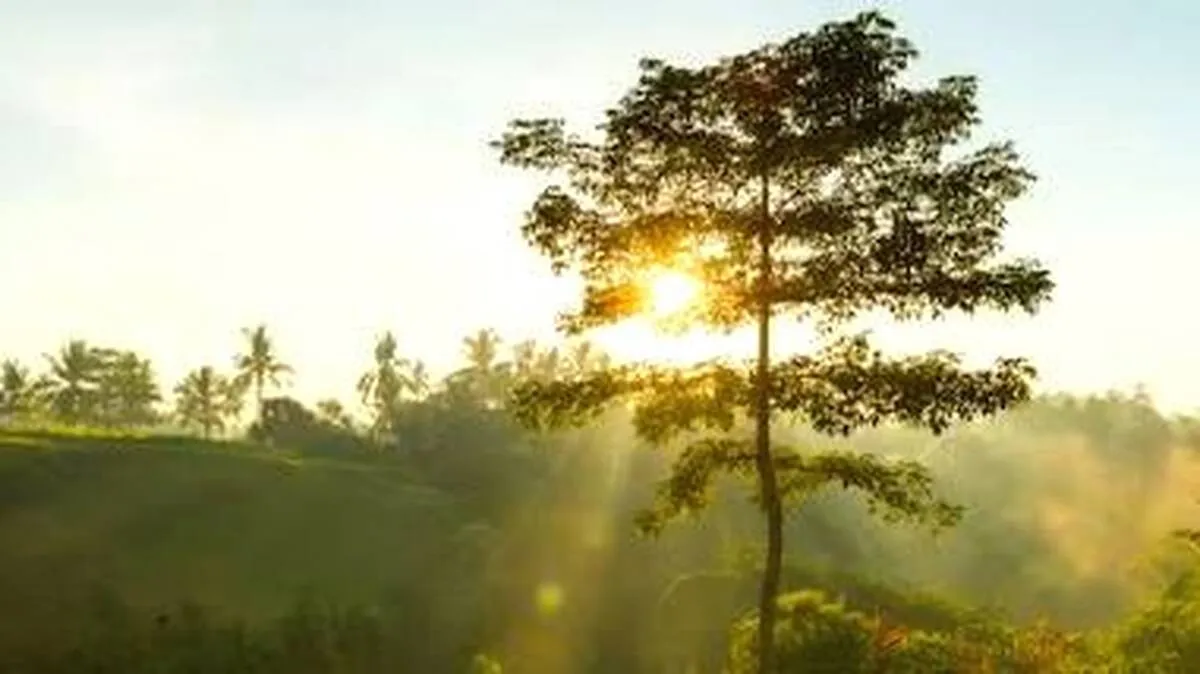 aa