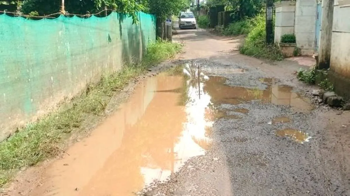 pavayil pavayil