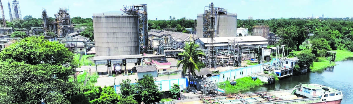 fact