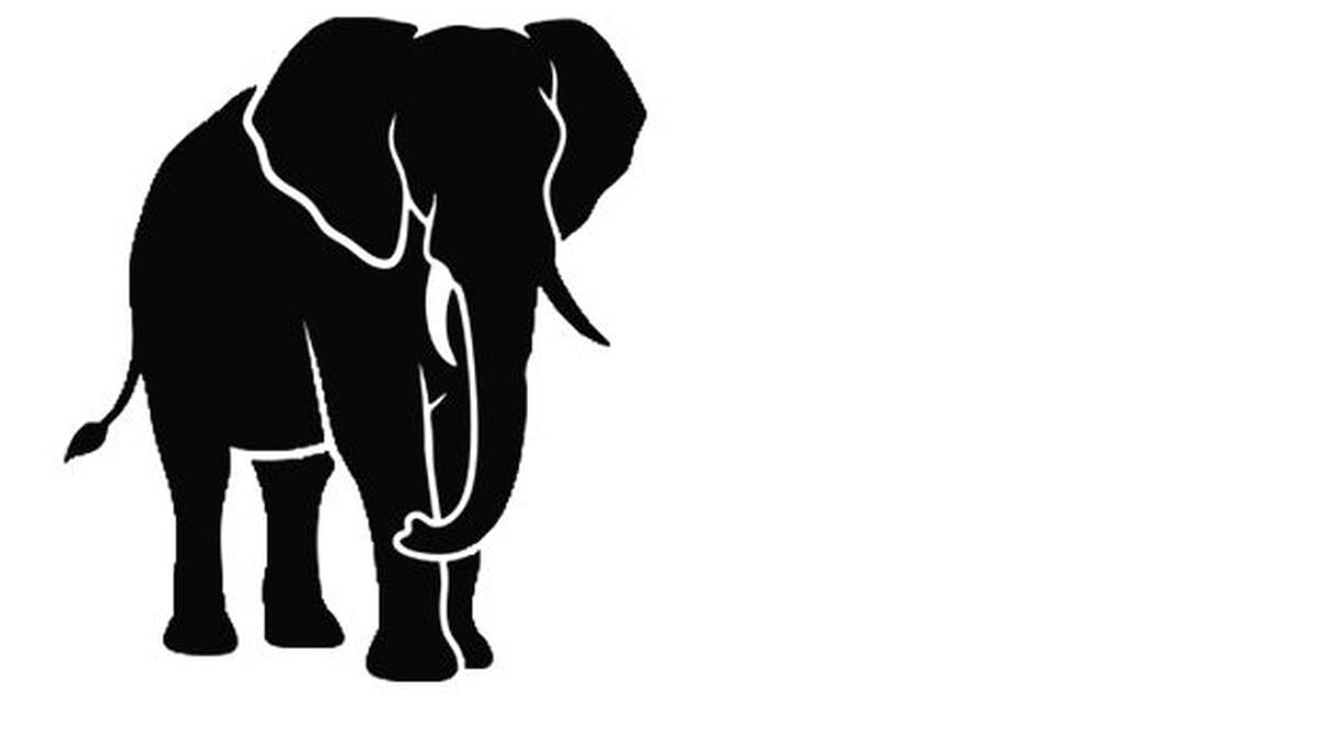elephant