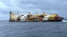 msc-elsa-