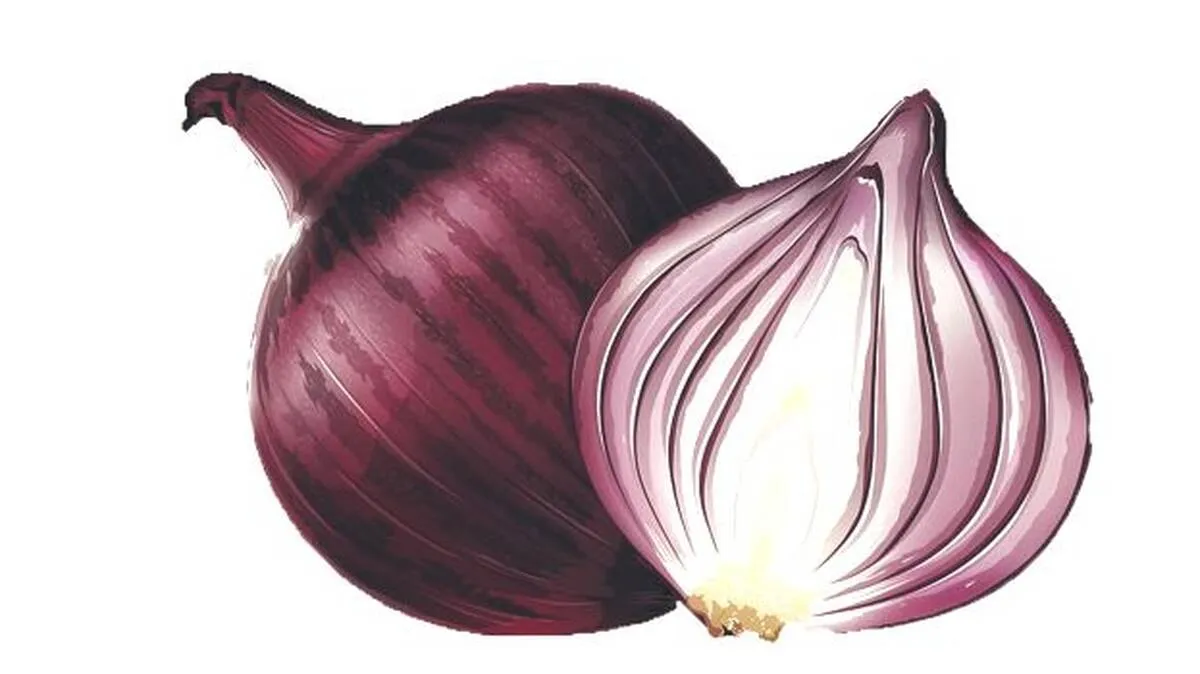 onion onion